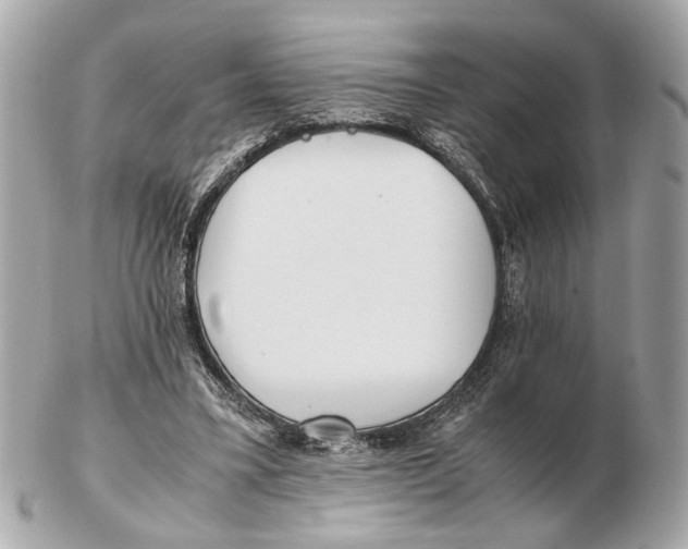 X0000102510395200808291738