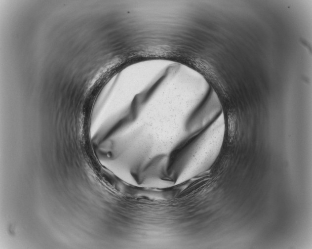 X0000102510396200808291738