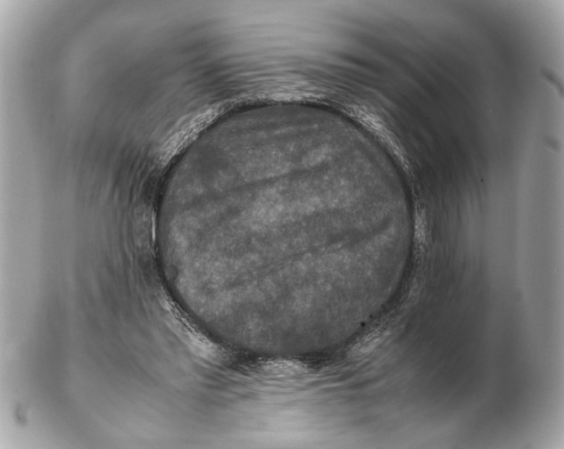X0000102510397200808291738