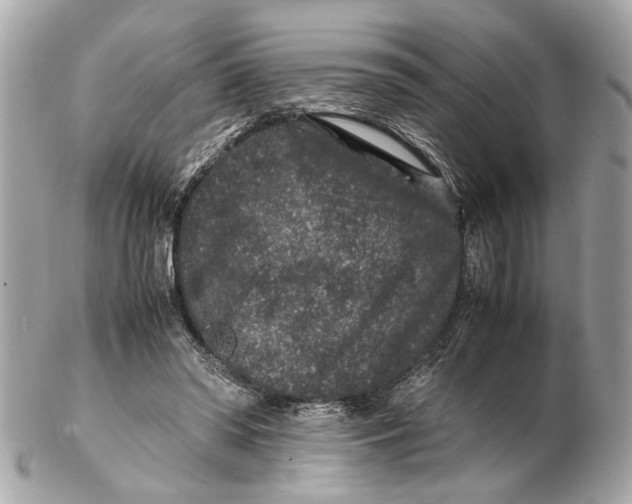 X0000102510398200808291738