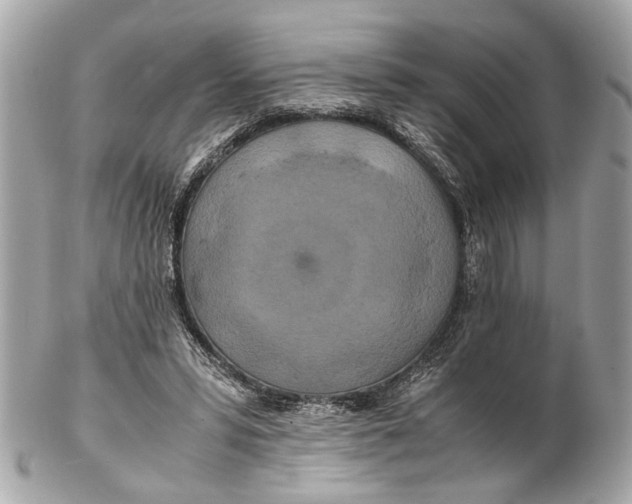 X0000102510399200808291738