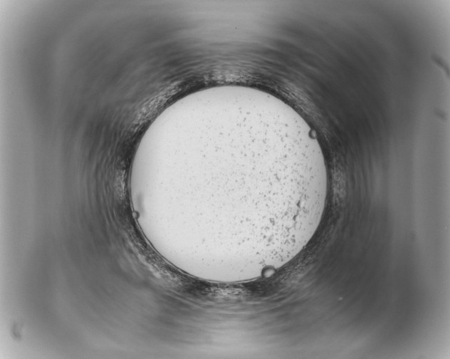 X0000102510401200808291738