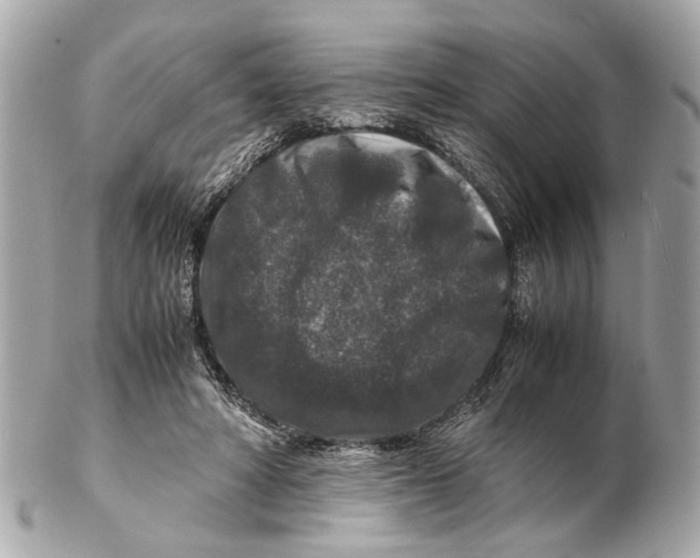 X0000102510402200808291738