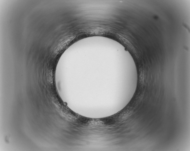 X0000102510403200808291738