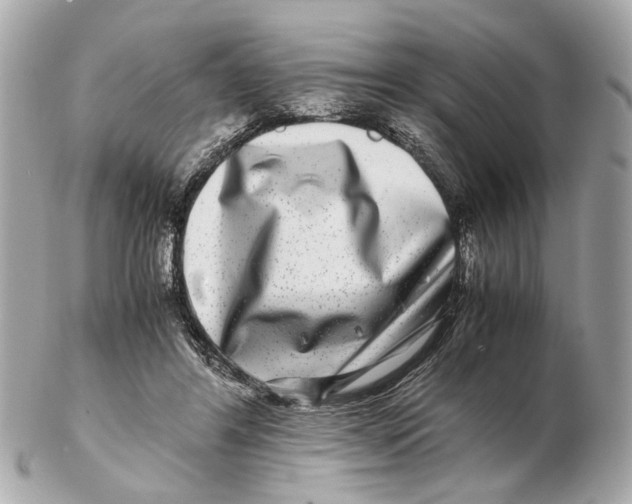 X0000102510404200808291738