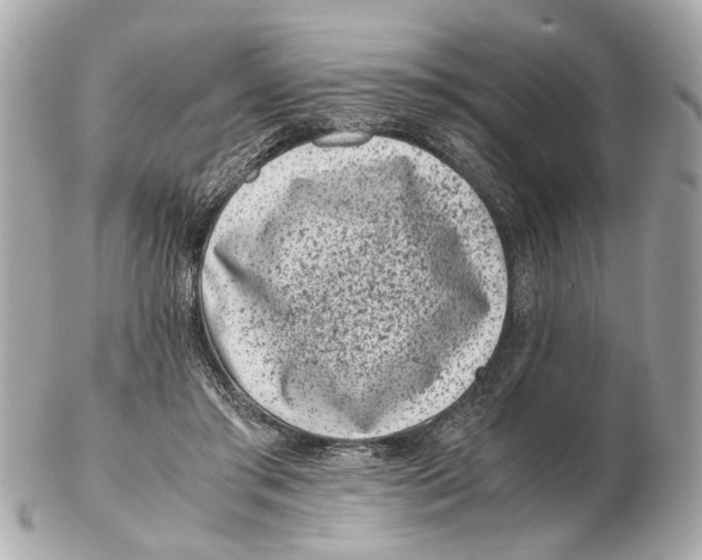 X0000102510405200808291738