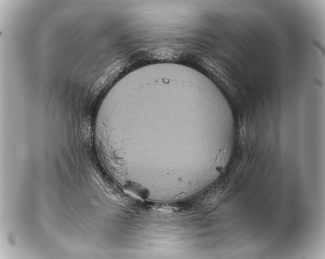 X0000102510407200808291738