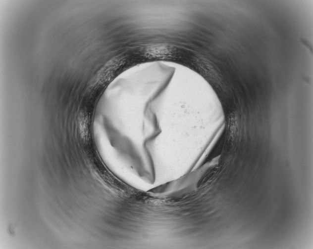 X0000102510408200808291738