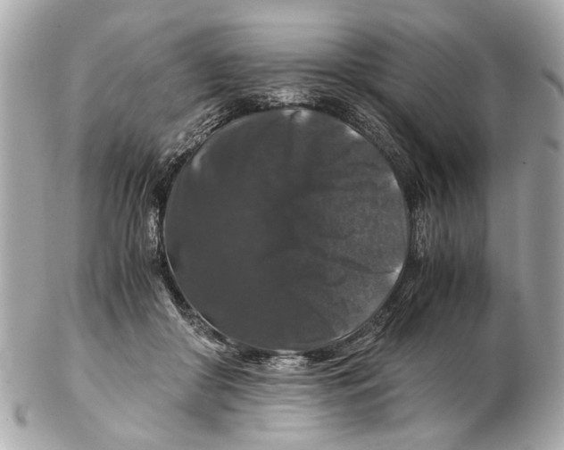 X0000102510410200808291738