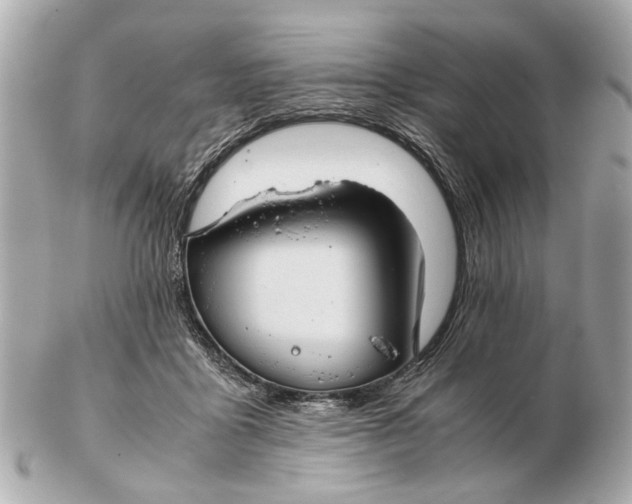 X0000102510411200808291738