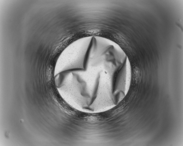 X0000102510412200808291738