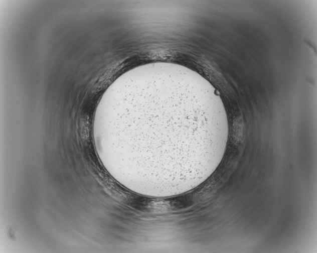 X0000102510413200808291738