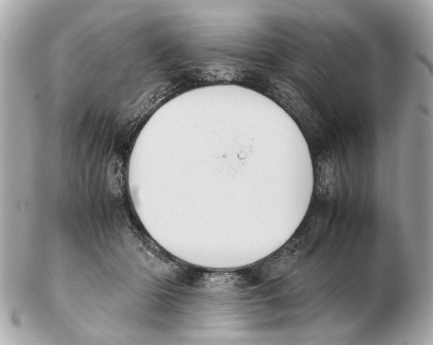 X0000102510414200808291738