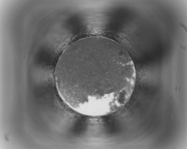 X0000102510415200808291738