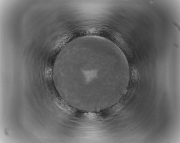 X0000102510419200808291738