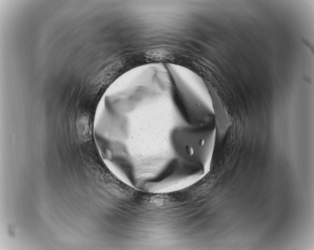 X0000102510420200808291738