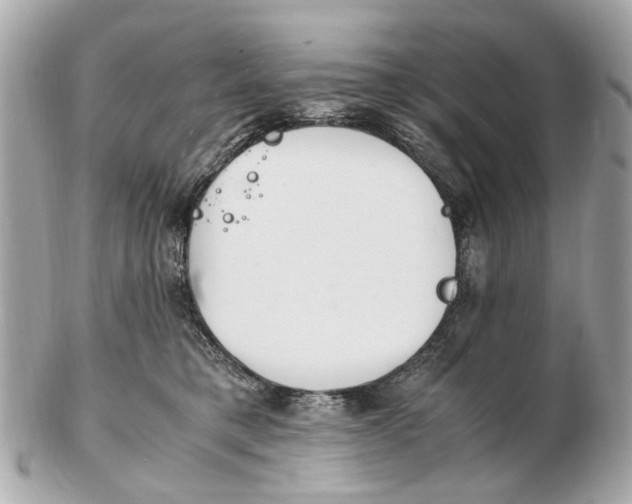 X0000102510421200808291738