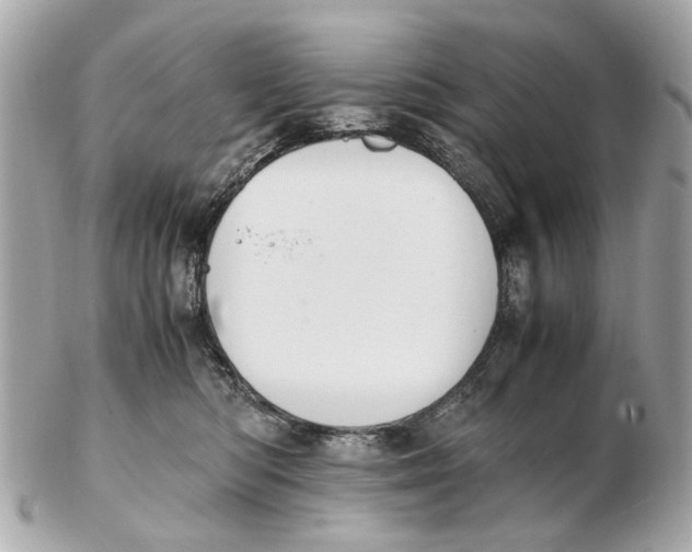 X0000102510422200808291738