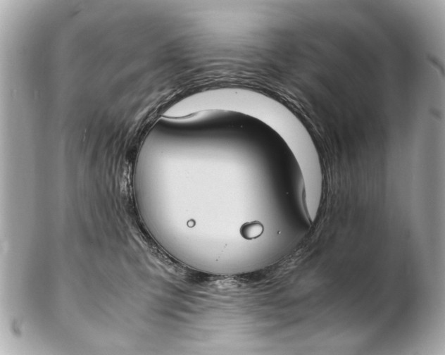 X0000102510423200808291738