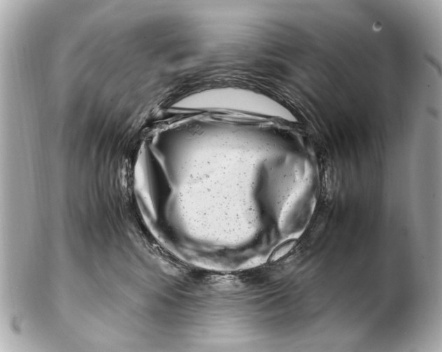 X0000102510424200808291738