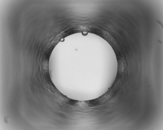 X0000102510425200808291738