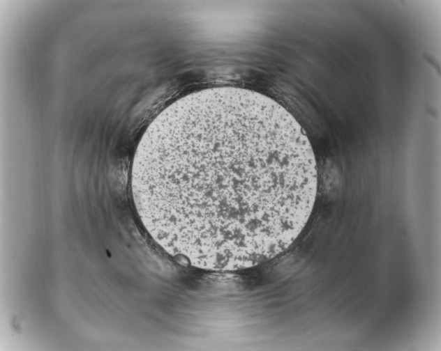 X0000102510427200808291738