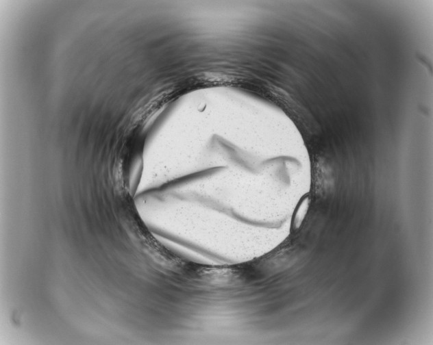 X0000102510428200808291738