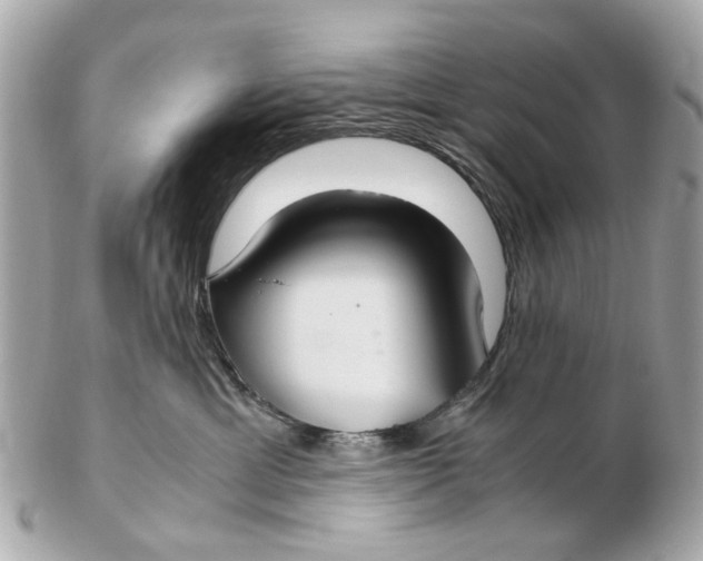 X0000102510429200808291738