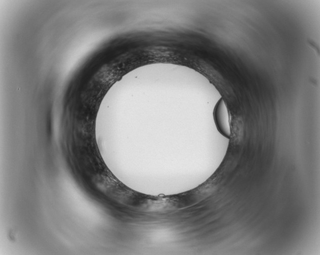 X0000102510430200808291738