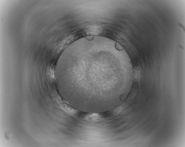 X0000102510431200808291738