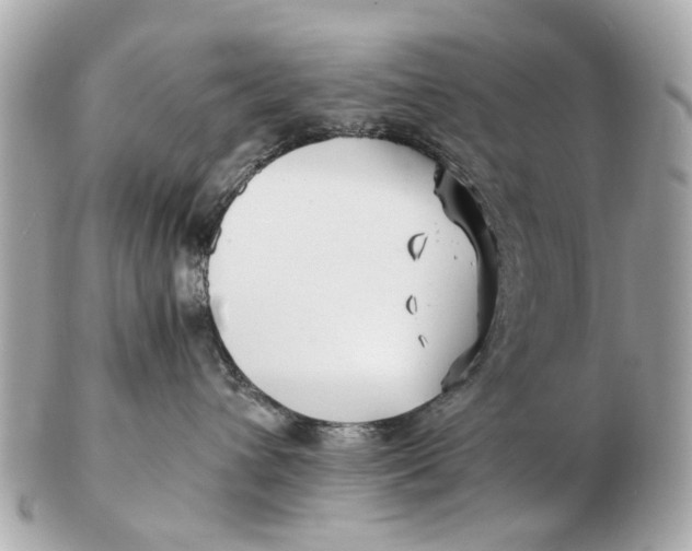 X0000102510432200808291738
