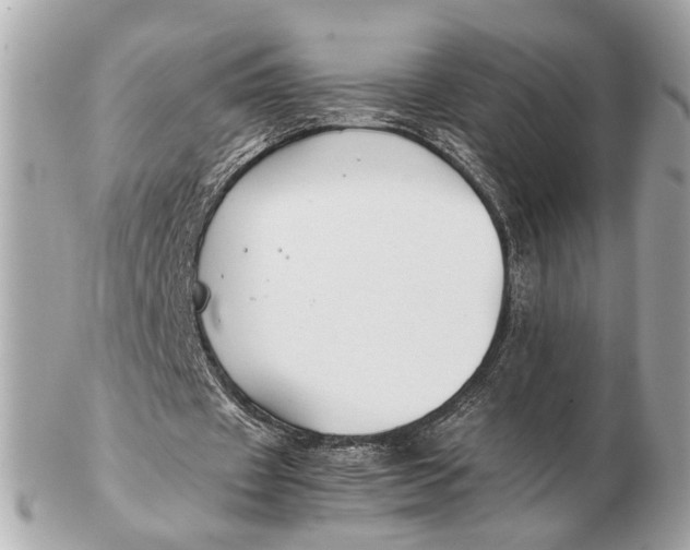 X0000102510433200808291737