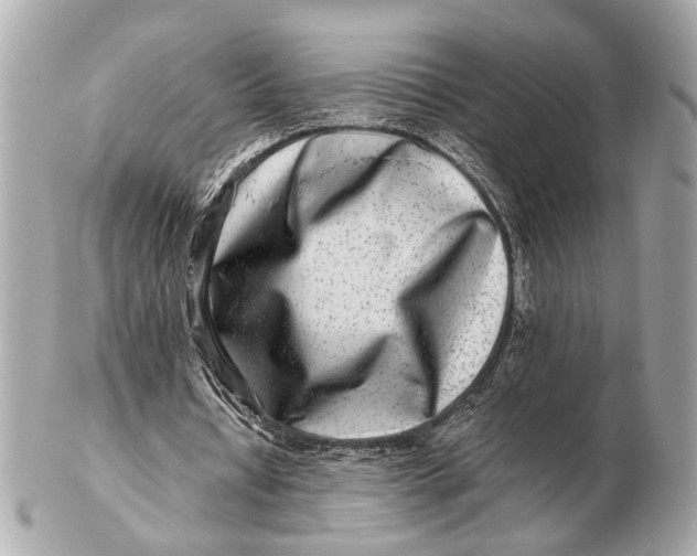 X0000102510434200808291737