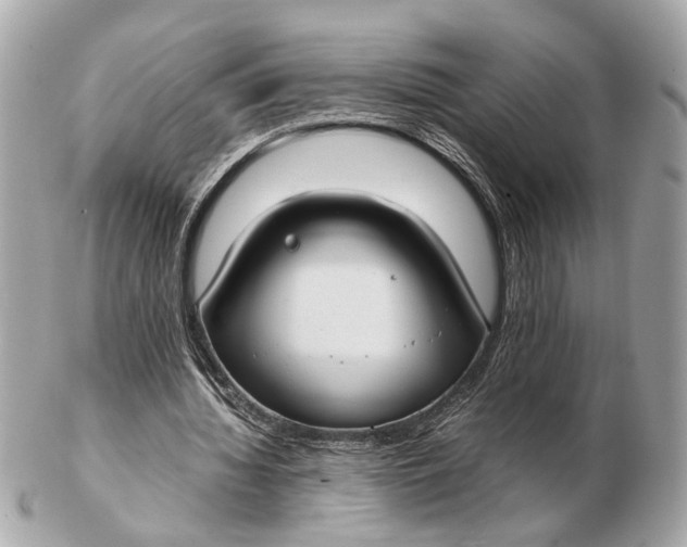 X0000102510436200808291737