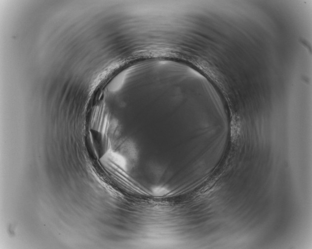 X0000102510438200808291737