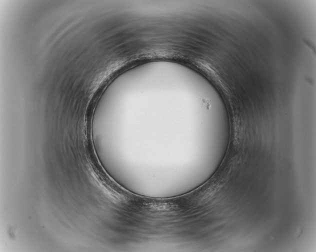 X0000102510439200808291737