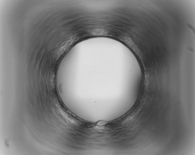 X0000102510441200808291737