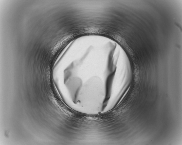 X0000102510442200808291737