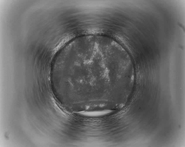 X0000102510443200808291737