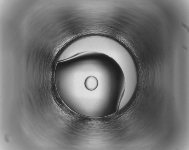 X0000102510444200808291737