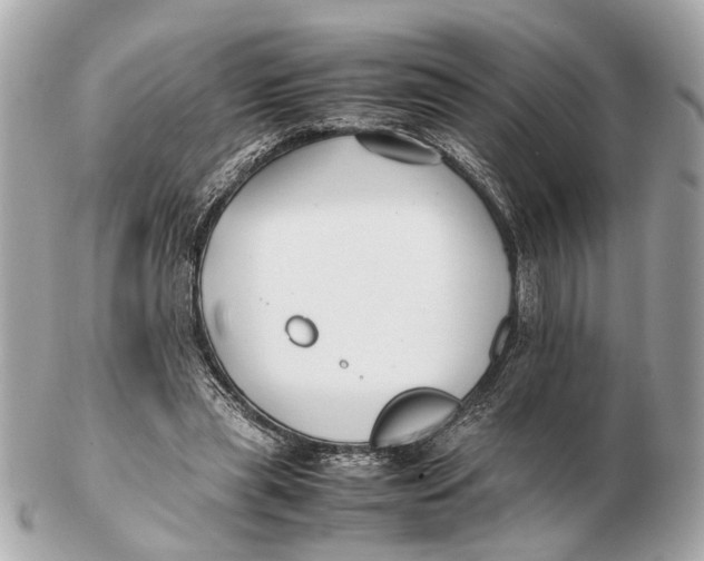 X0000102510445200808291737