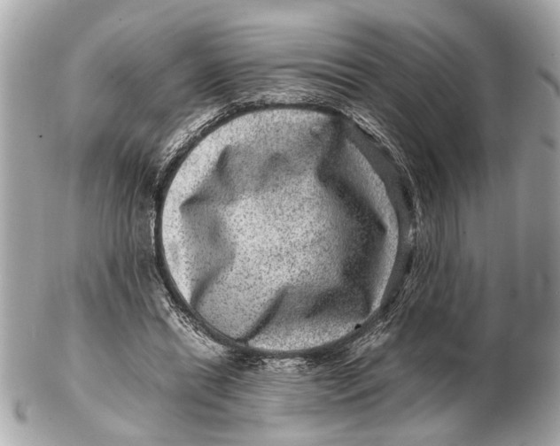 X0000102510446200808291737