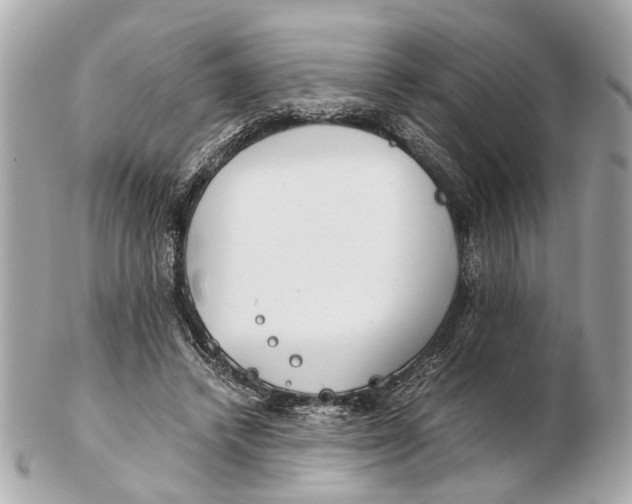 X0000102510448200808291737