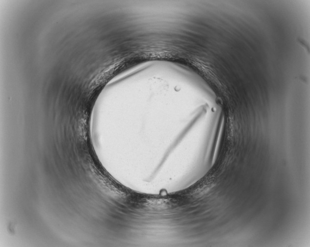 X0000102510450200808291737