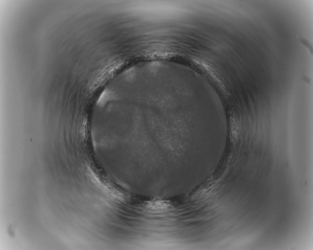 X0000102510451200808291737