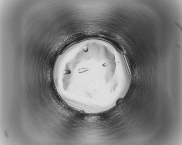 X0000102510452200808291737