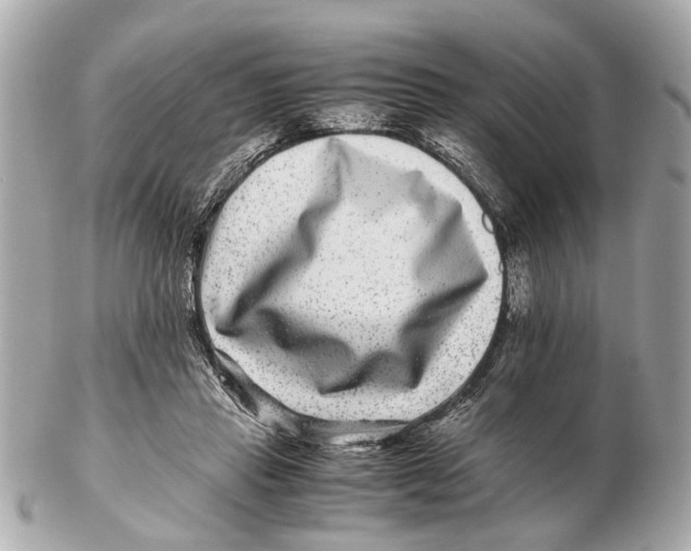 X0000102510453200808291737