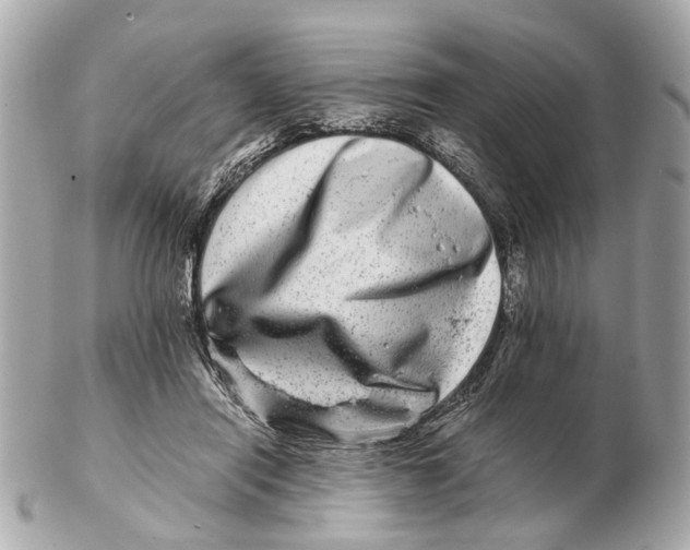 X0000102510454200808291737