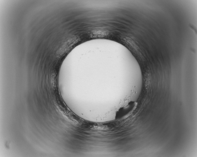 X0000102510455200808291737