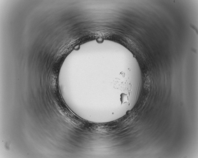 X0000102510456200808291738